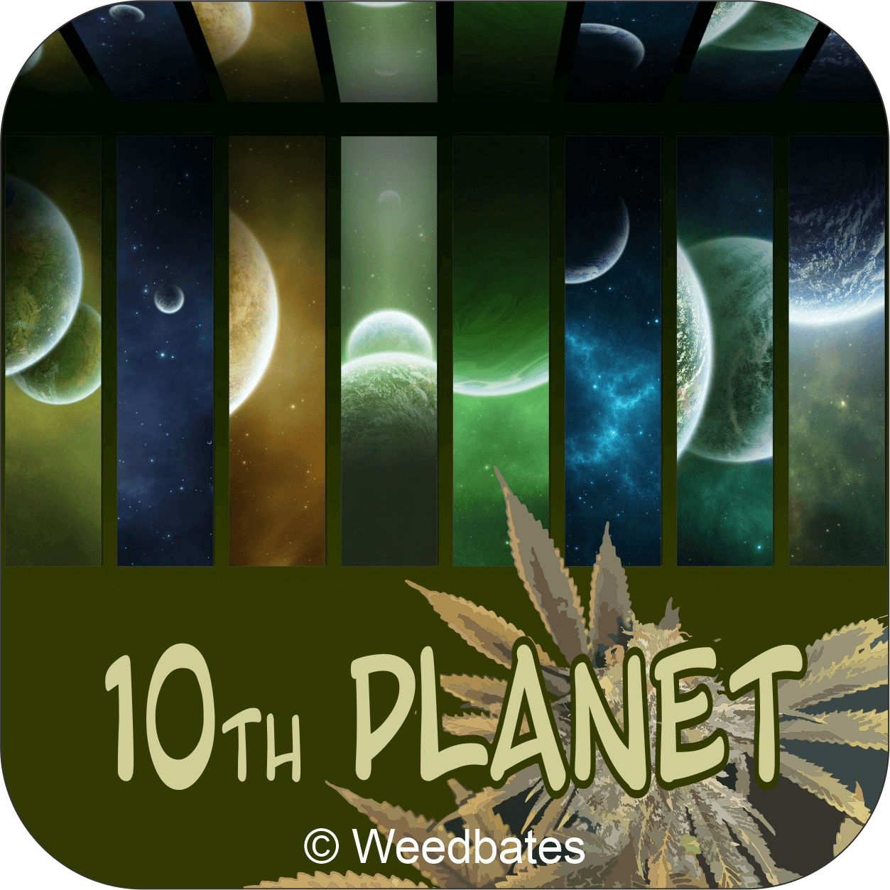 10th Planet marijuana strain