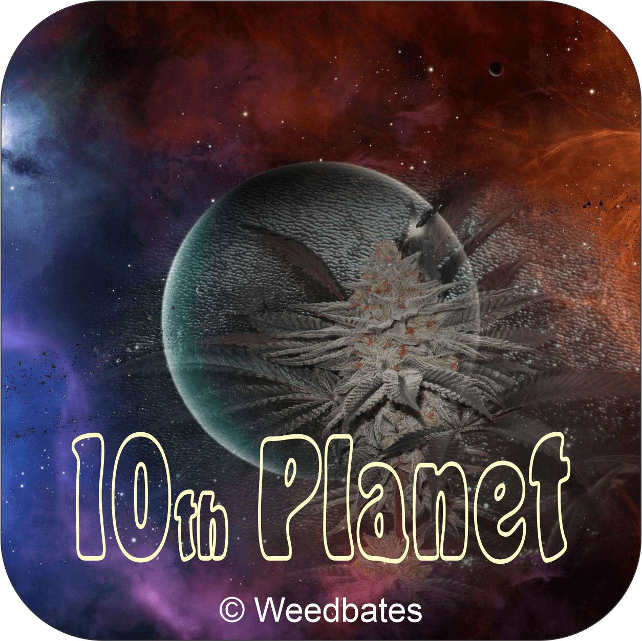 10th Planet pot