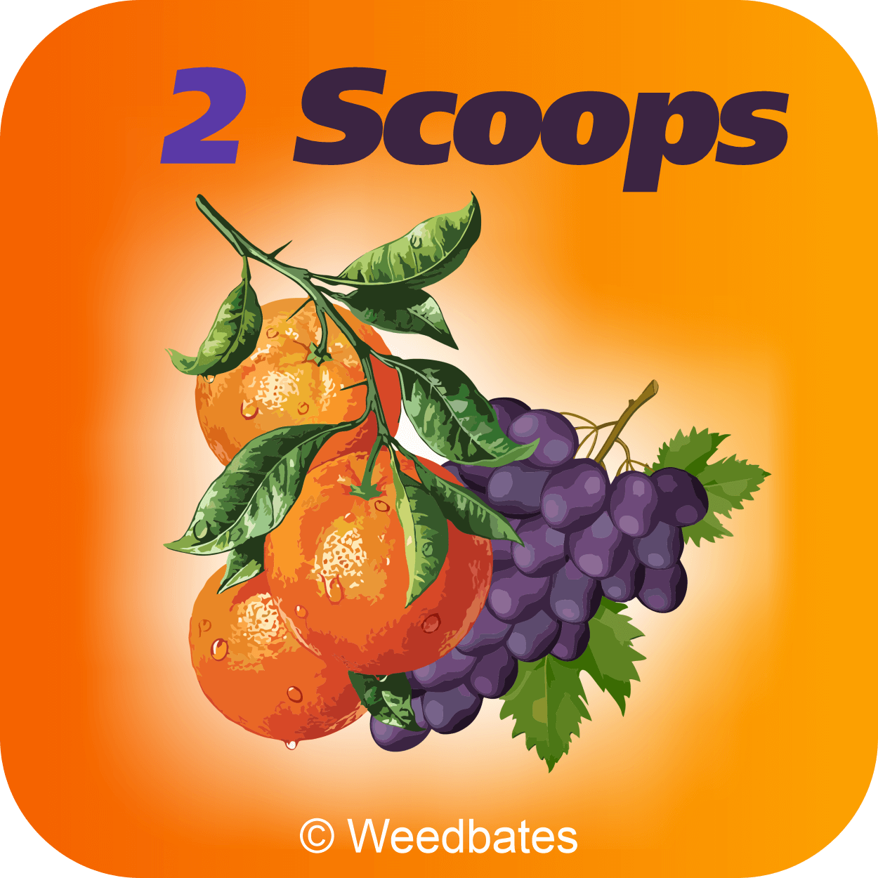Growing 2 Scoops Cannabis