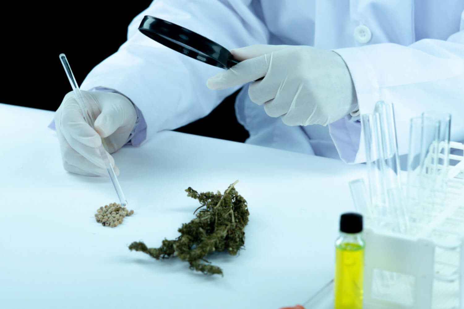 Cannabis testing labs