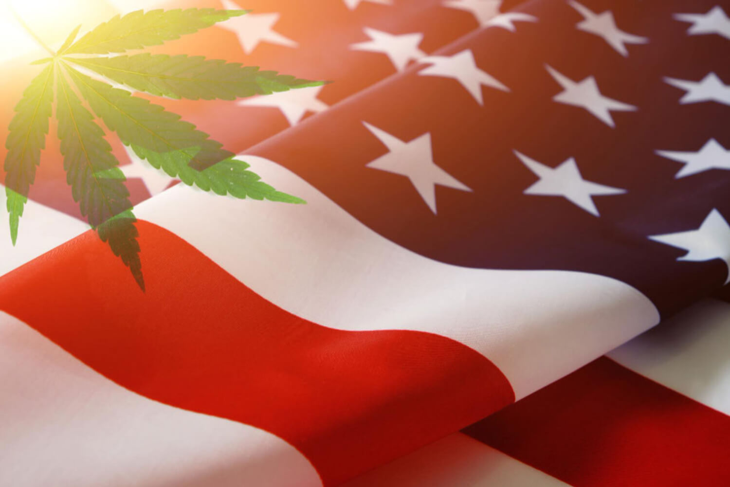 US cannabis legalization