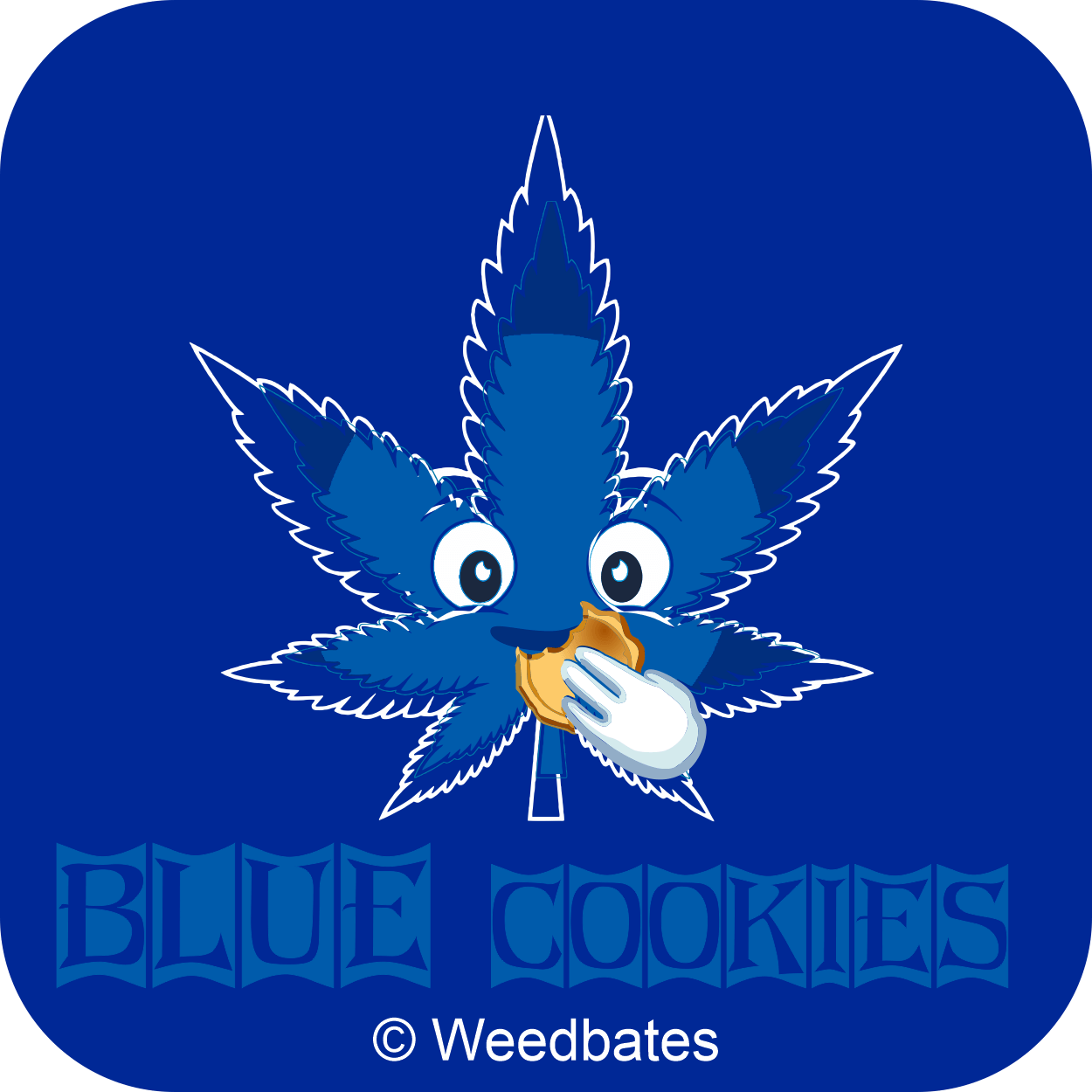 Blue Cookies marijuana strain