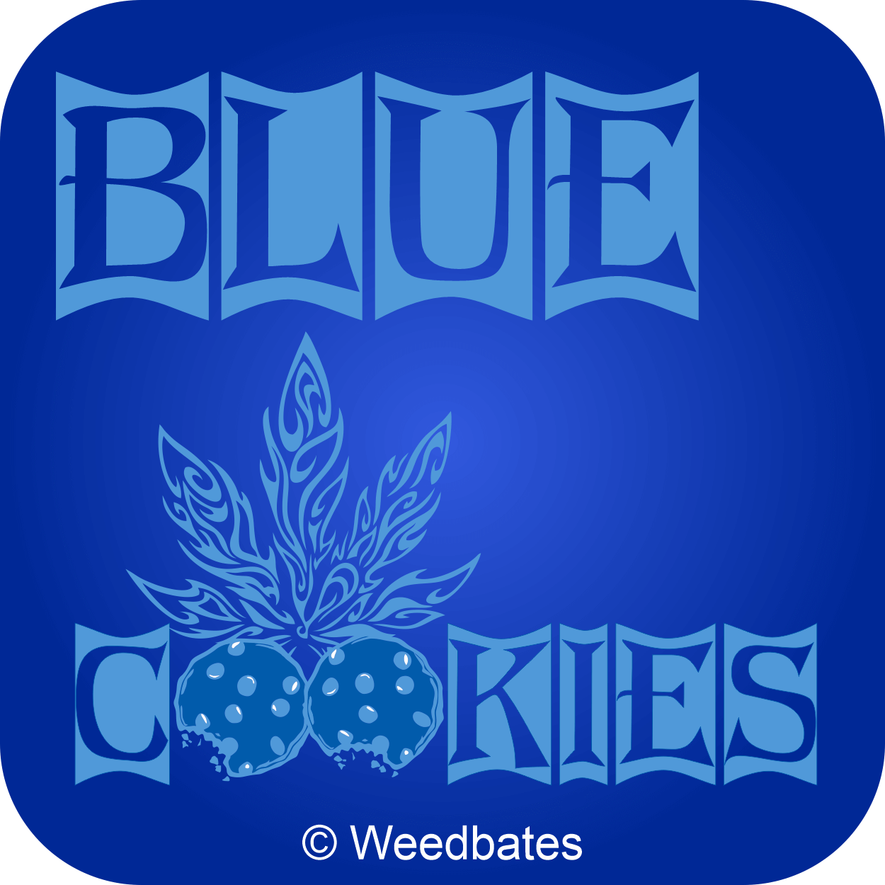 Blue Cookies cannabis strain