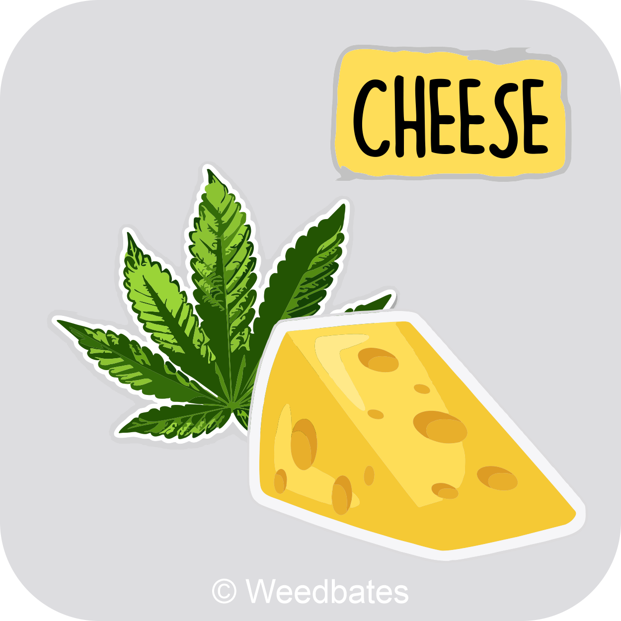Cheese strain