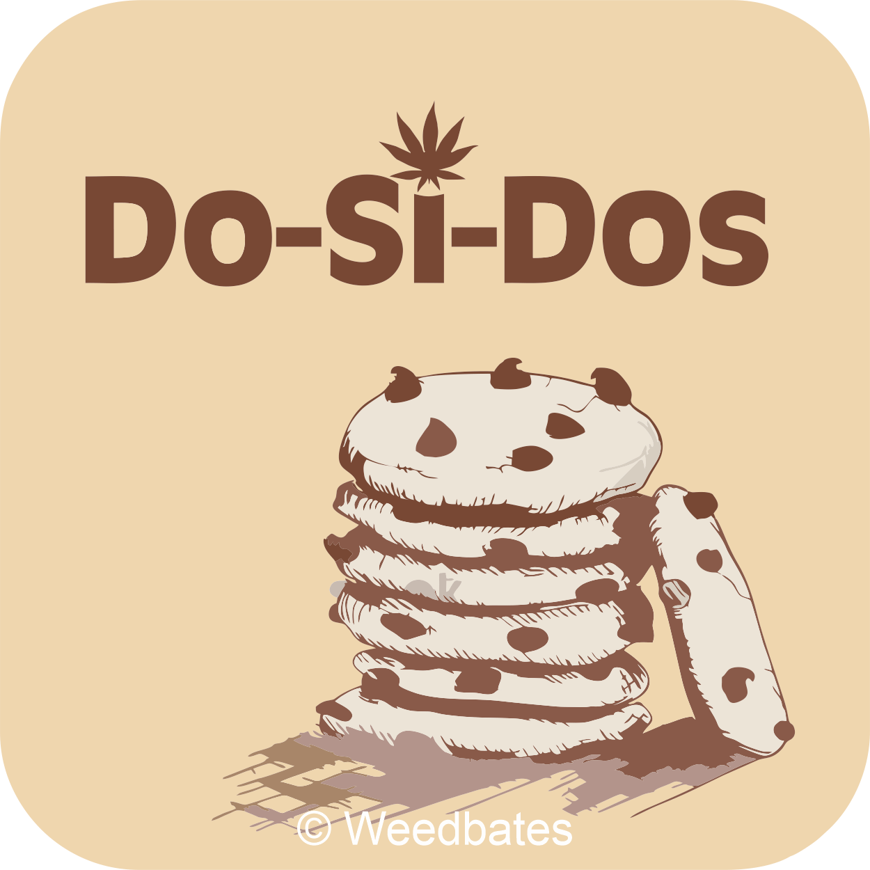 Do-Si-Dos marijuana strain 