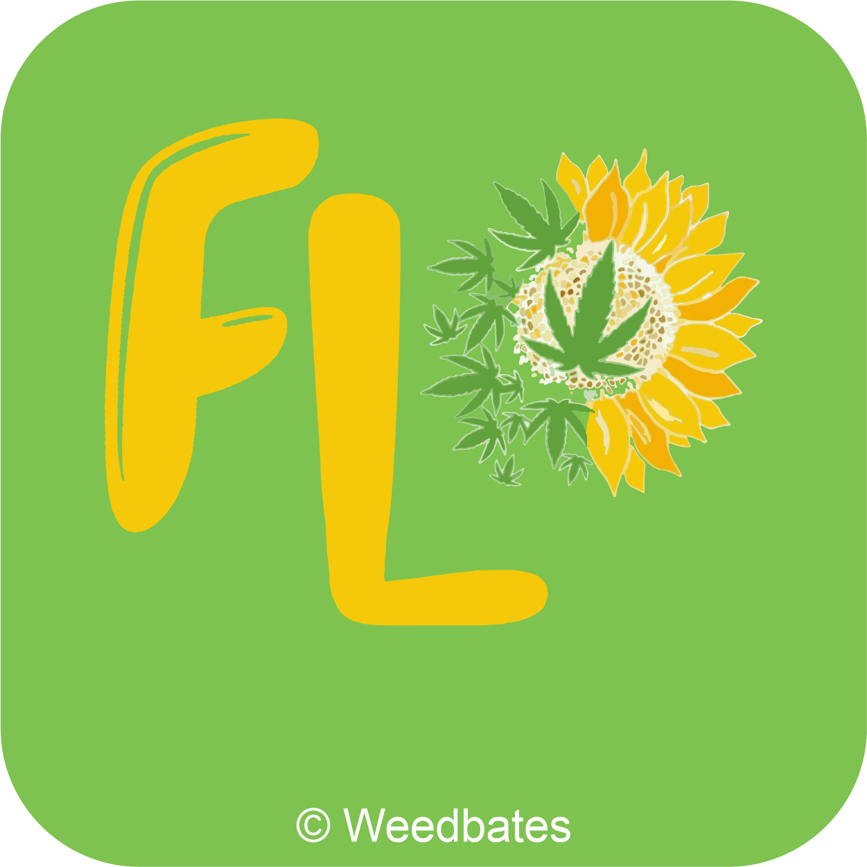 Flo cannabis strain