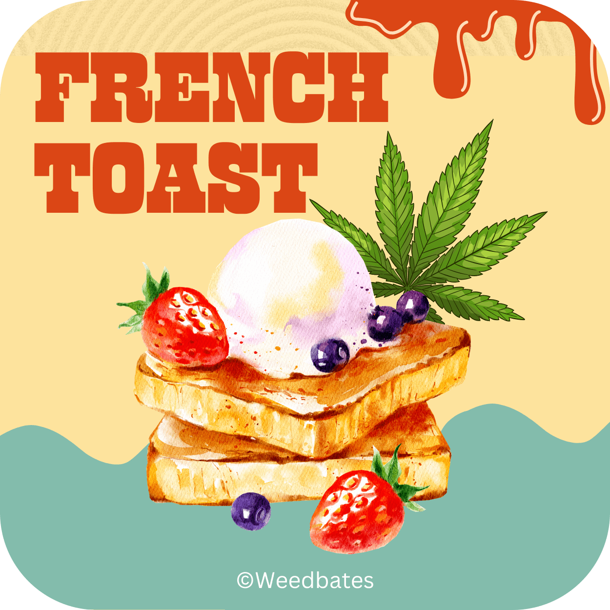 French Toast strain