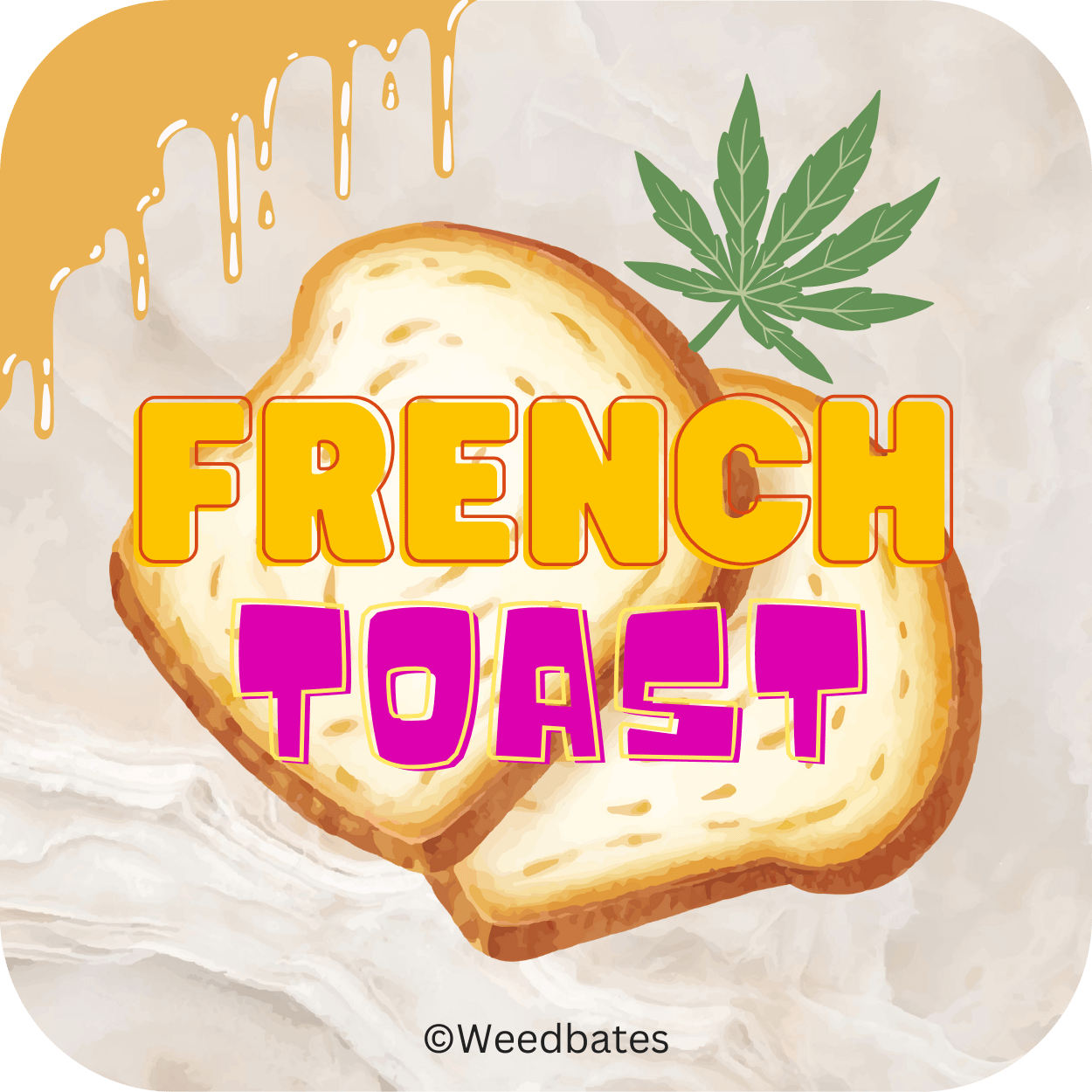 French Toast cannabis strain