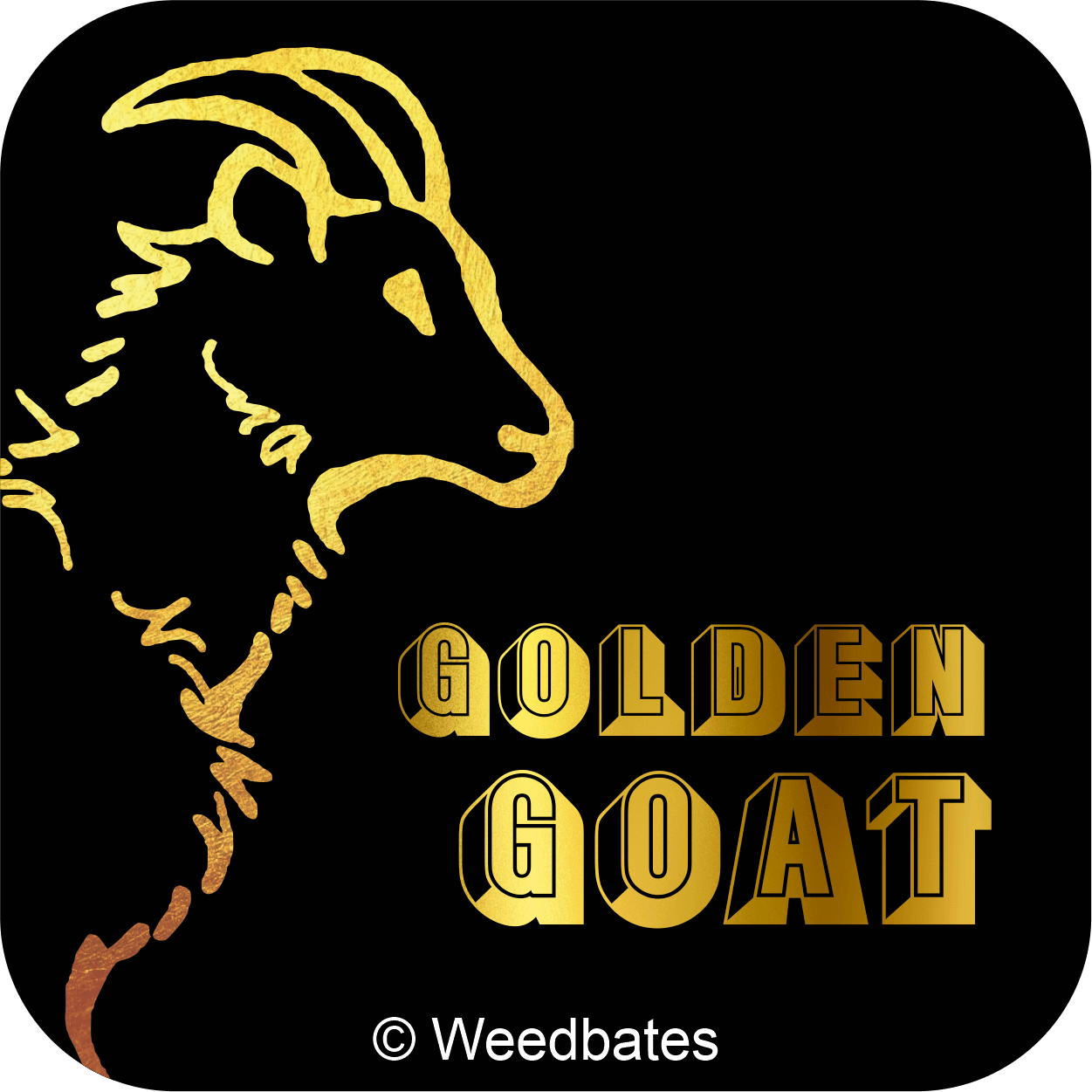 Golden Goat cannabis strain