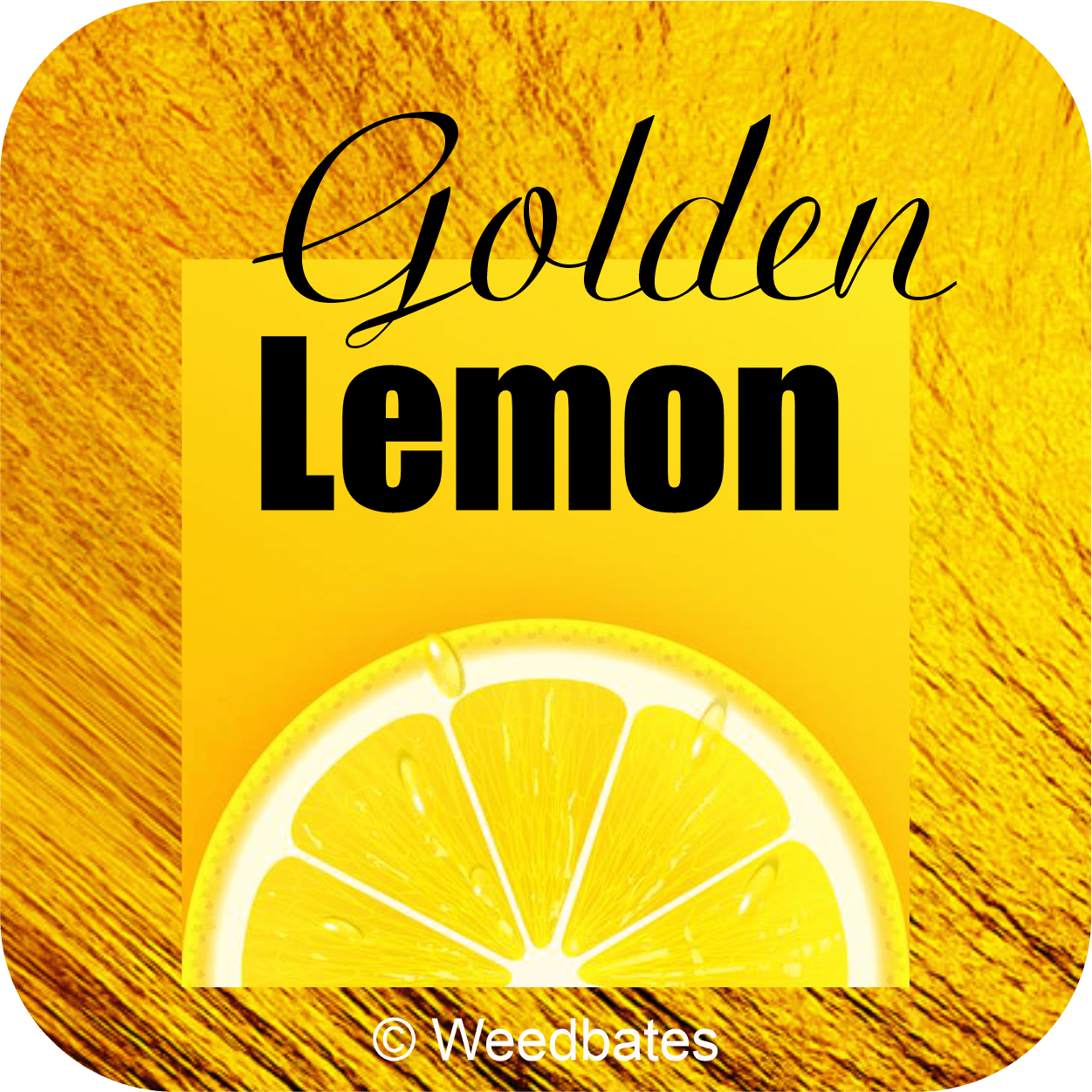Golden Lemon cannabis strain
