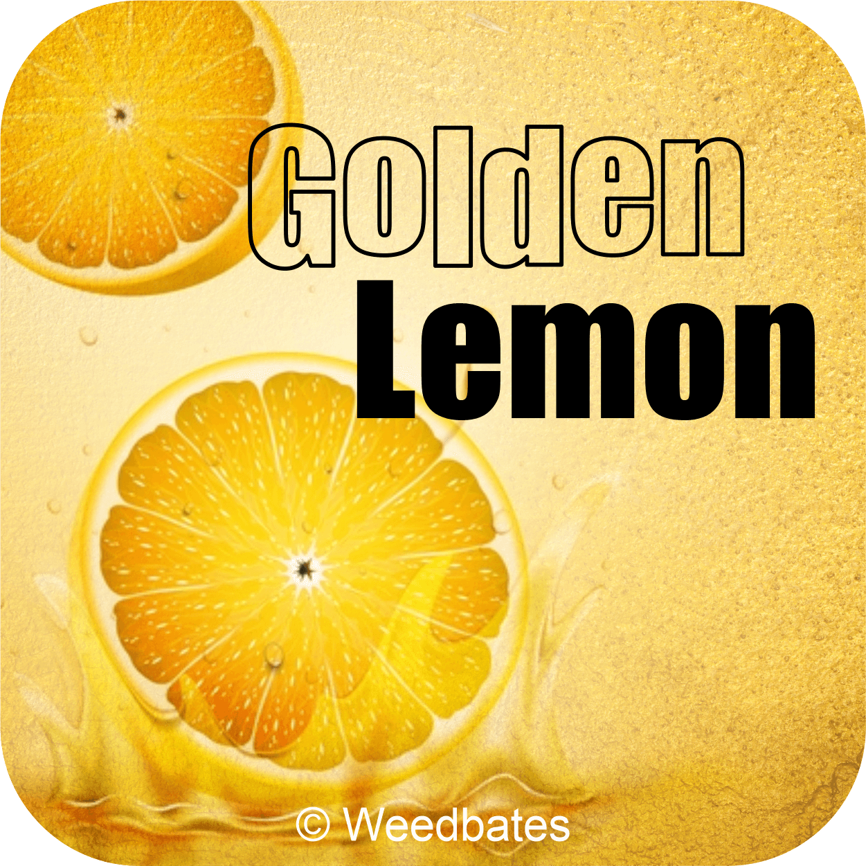 Golden Lemon Strain