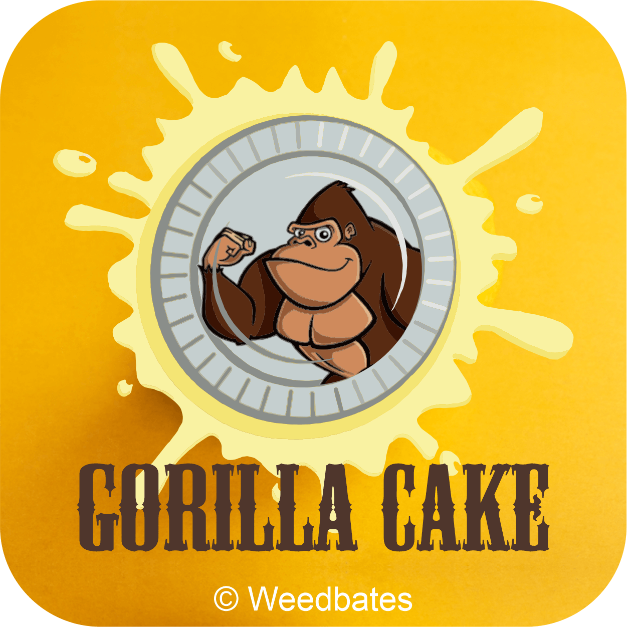 Gorilla Cake cannabis strain 