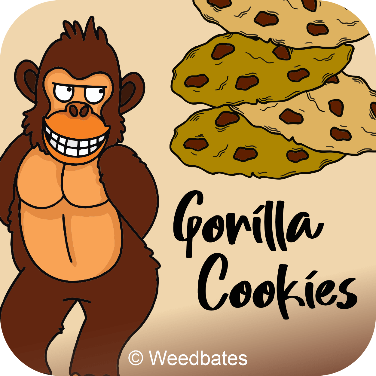 Gorilla Cookies Marijuana Strain
