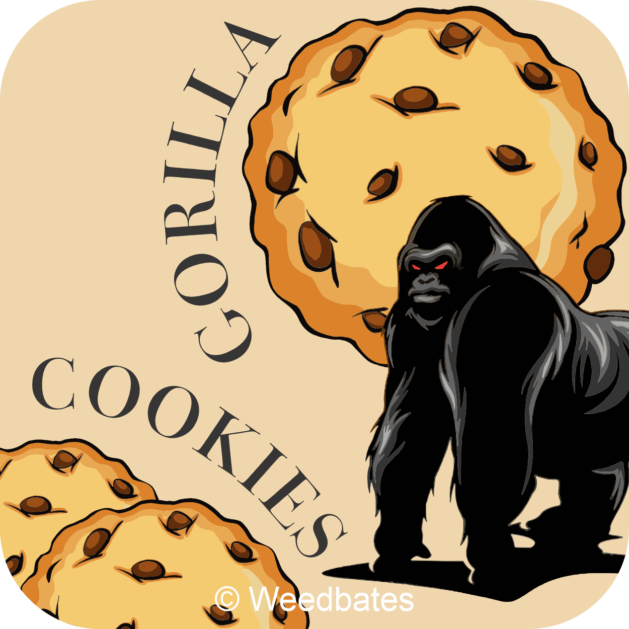 Gorilla Cookies strain