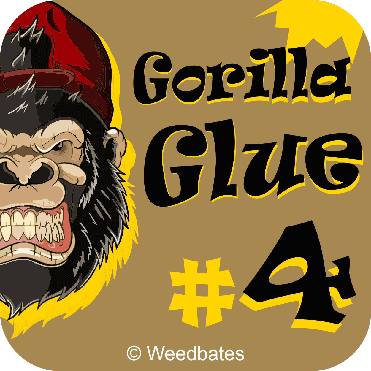 Gorilla Glue #4 strain