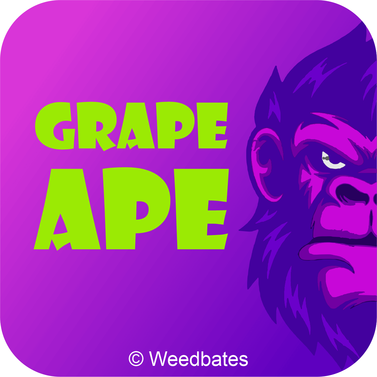 Grape Ape Cannabis Strain