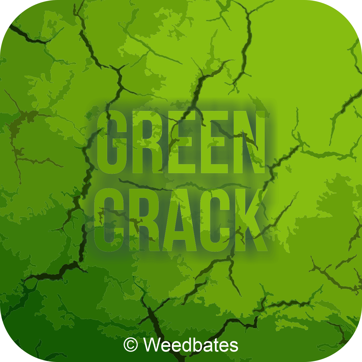 Green Crack Marijuana Strain