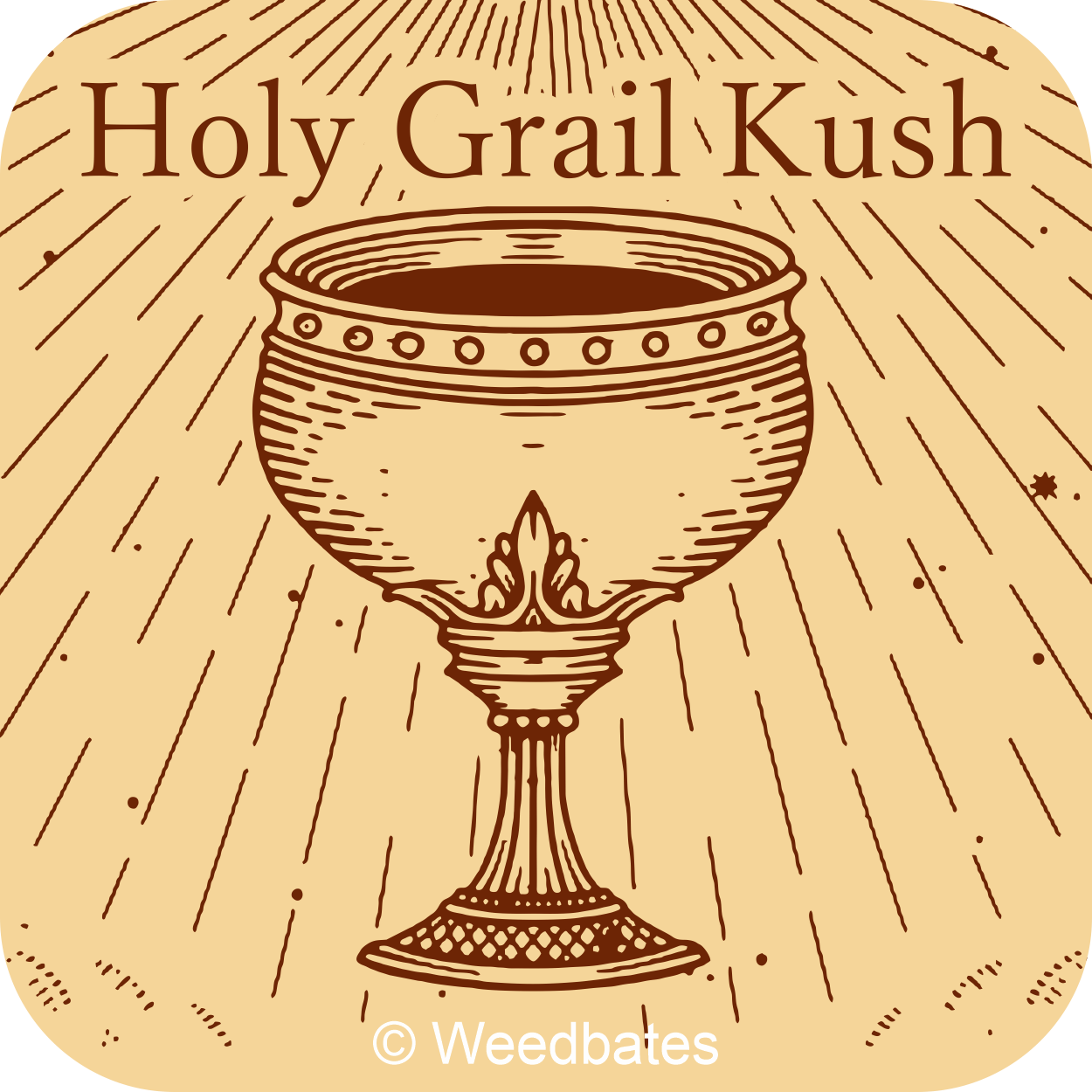 Holy Grail Kush cannabis strain