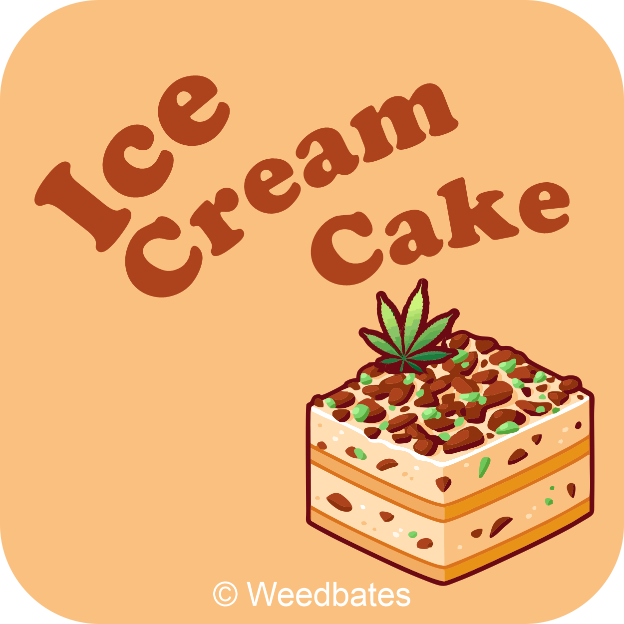 Ice Cream Cake strain