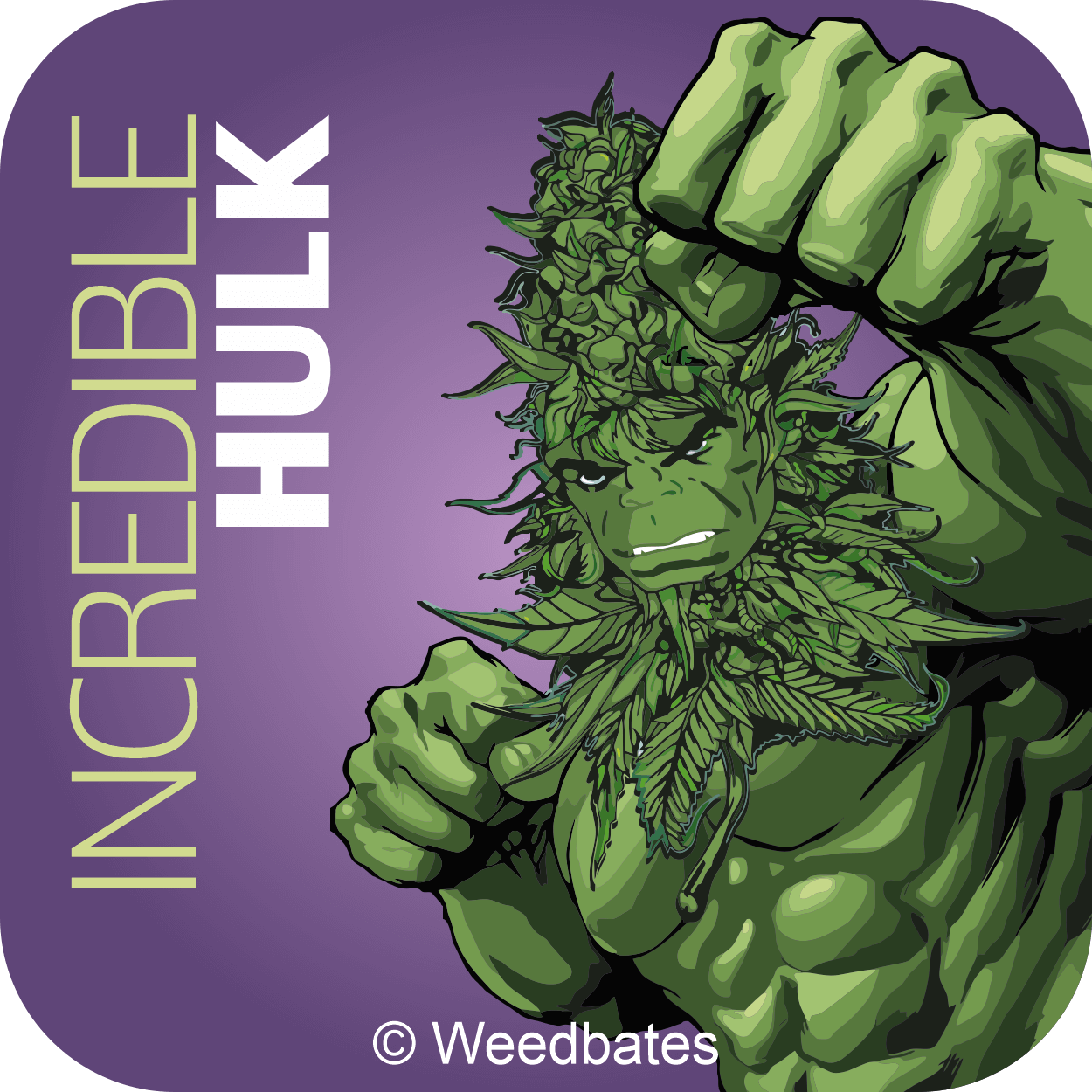 Incredible Hulk strain