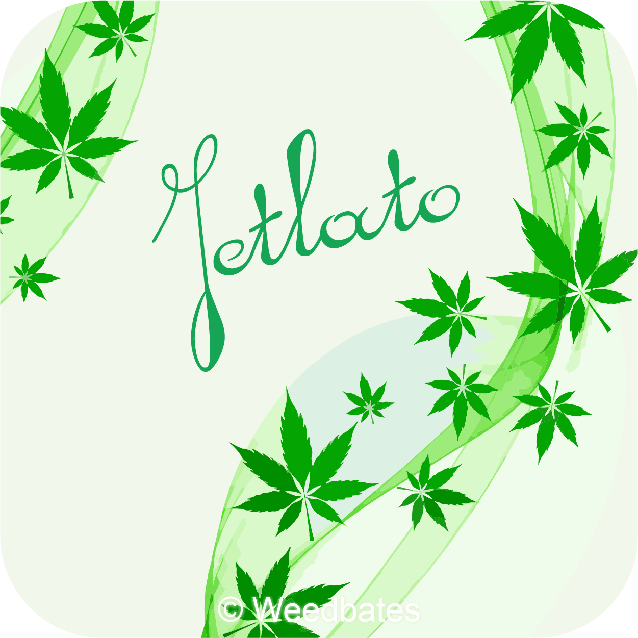Jetlato marijuana strain