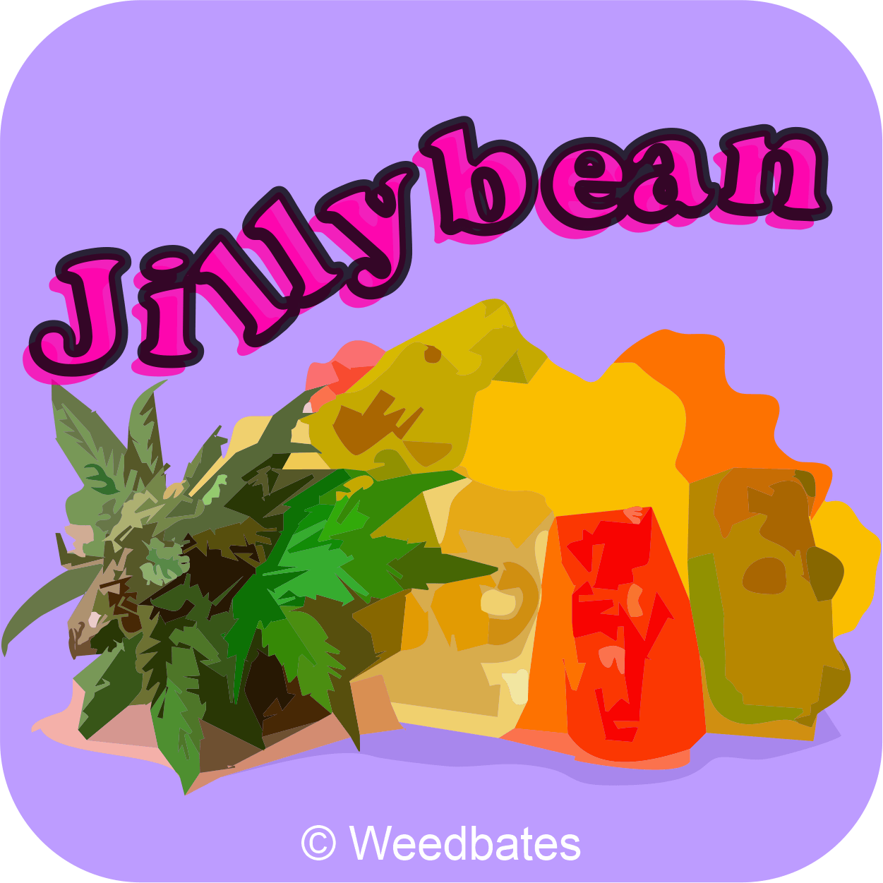 Jillybean cannabis strain