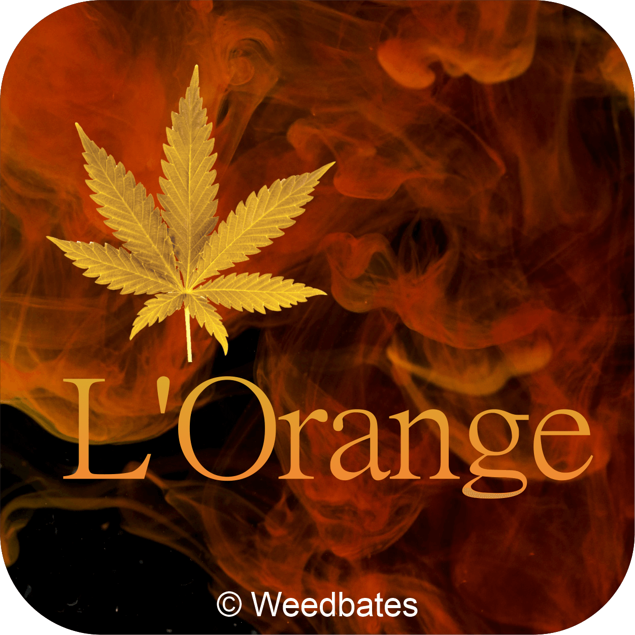 L'Orange cannabis