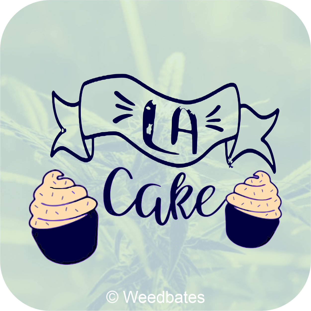 LA Kush Cake cannabis strain