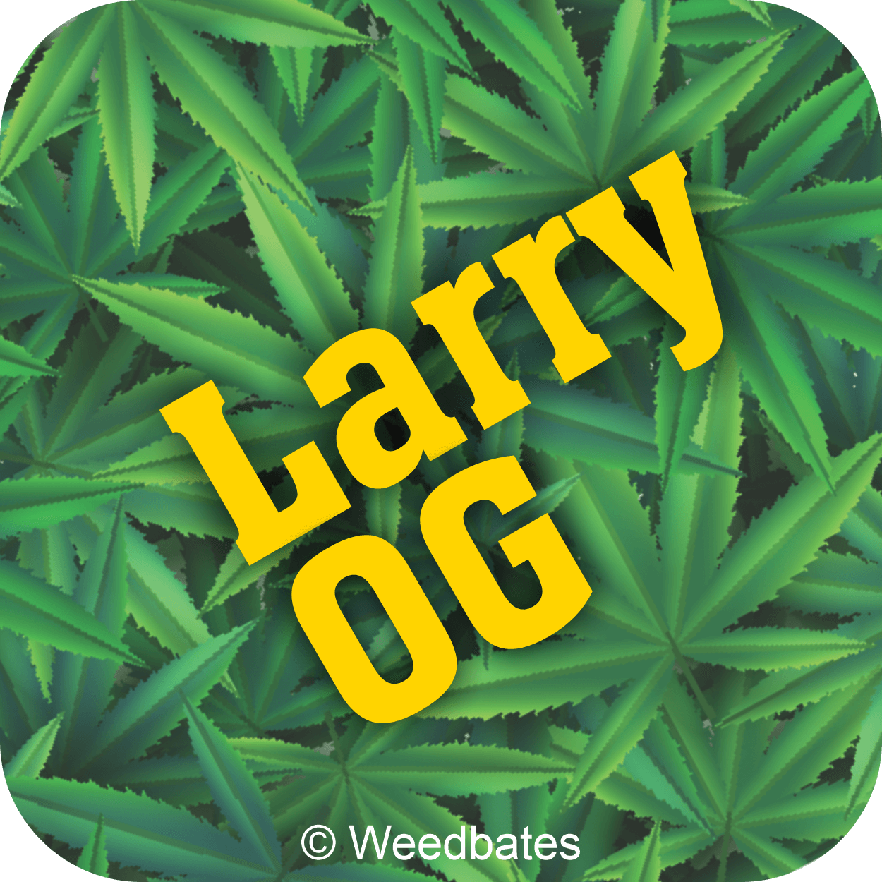 Larry OG marijuana strain
