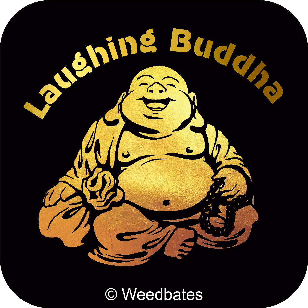 Laughing Buddha cannabis strain