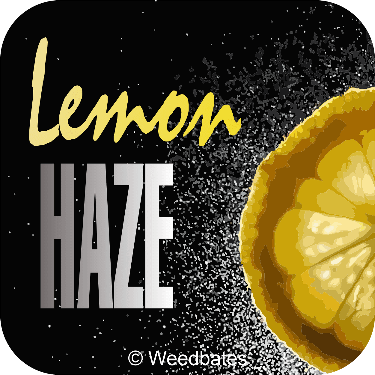 Lemon Haze cannabis strain