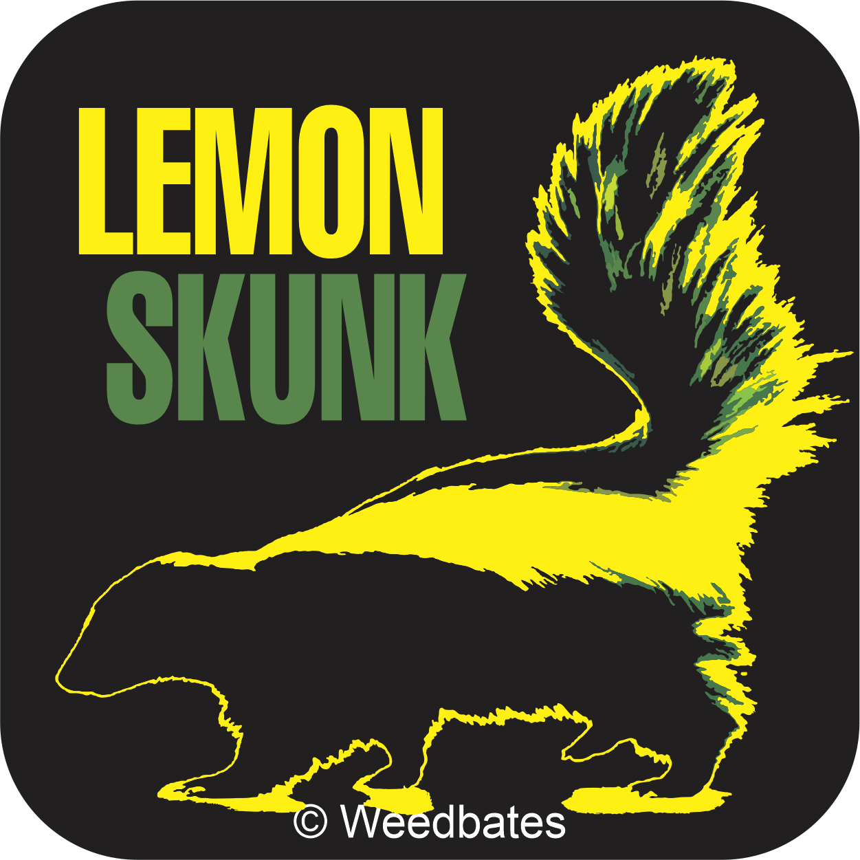 Lemon Skunk cannabis strain