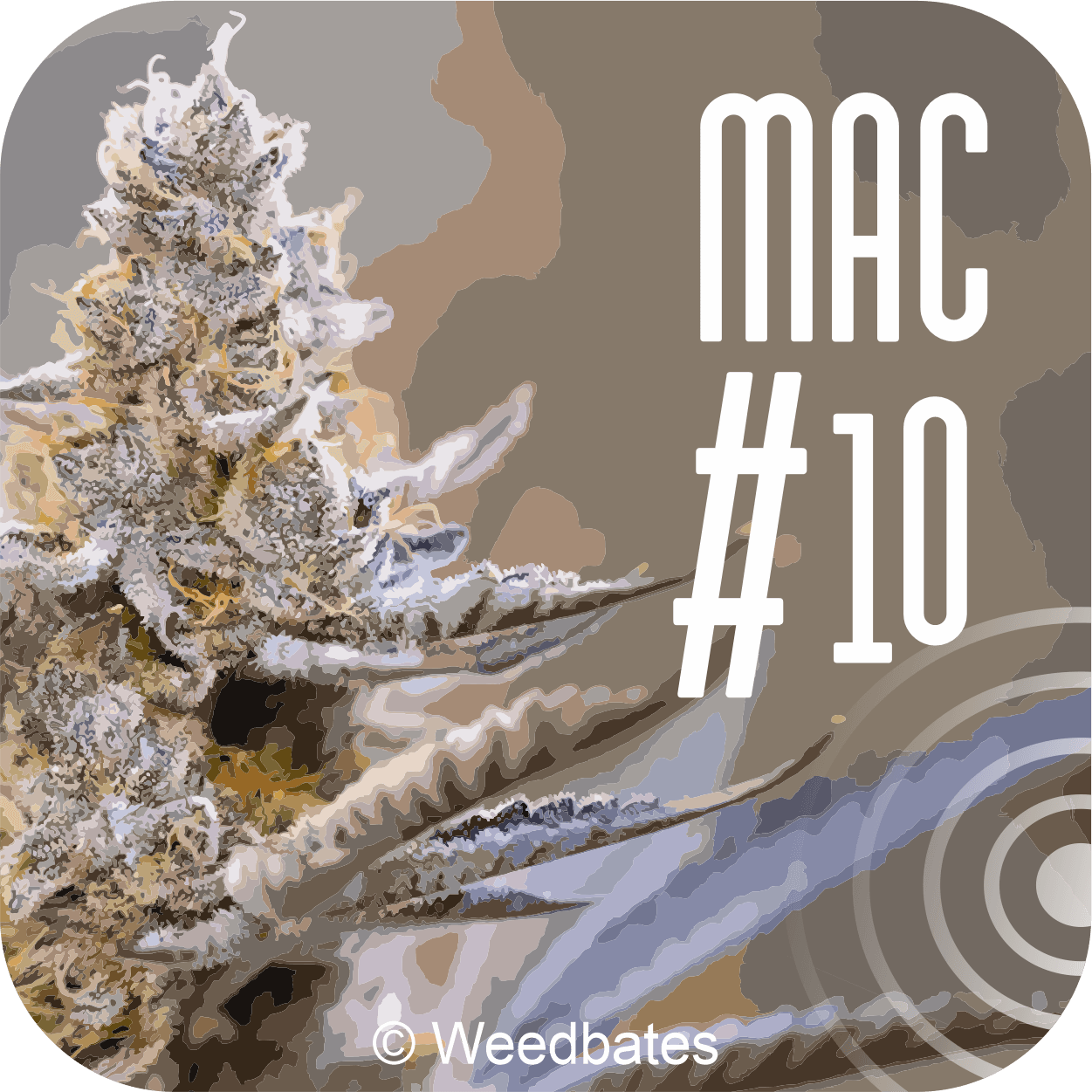 Mac 10 strain