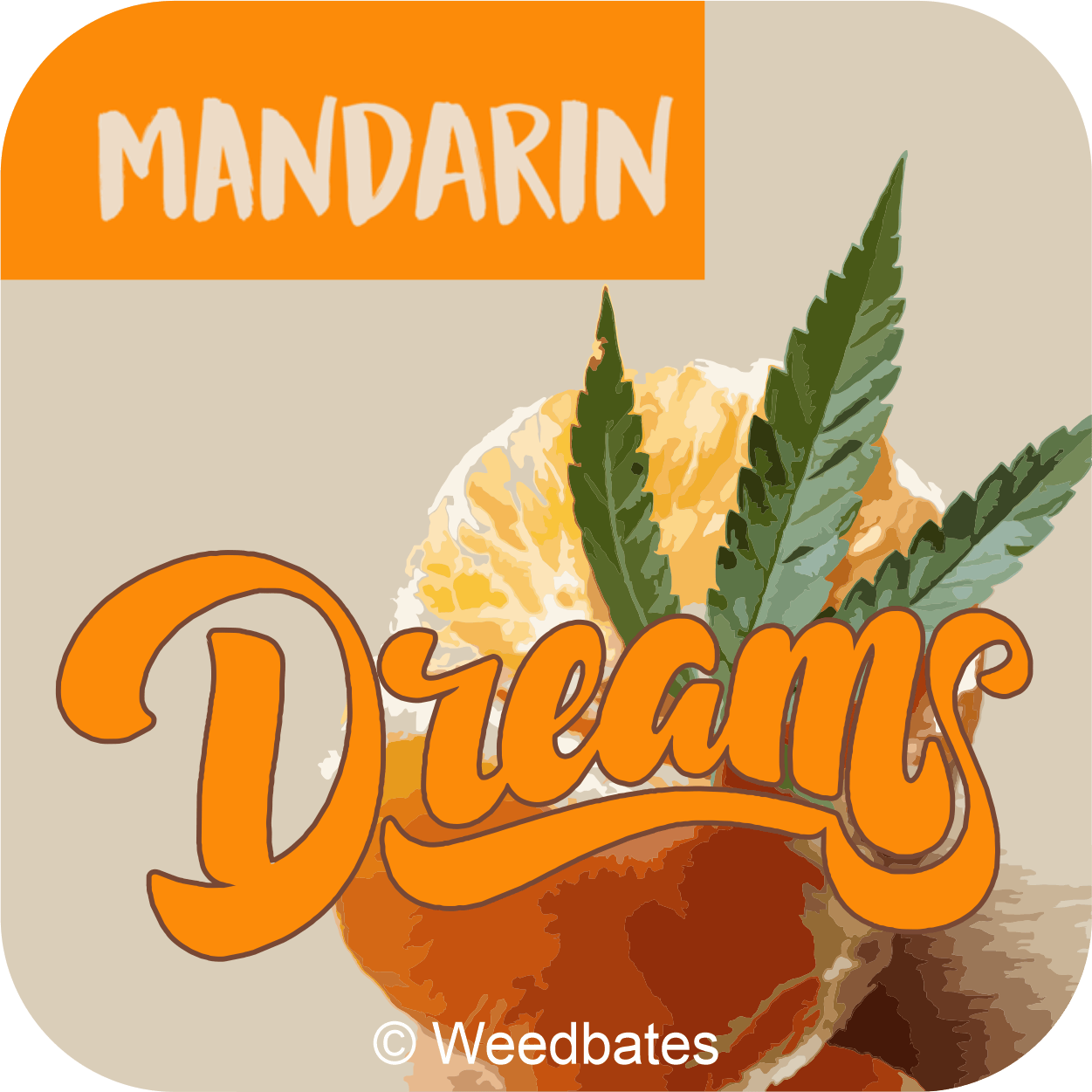 Mandarin Dreams cannabis strain