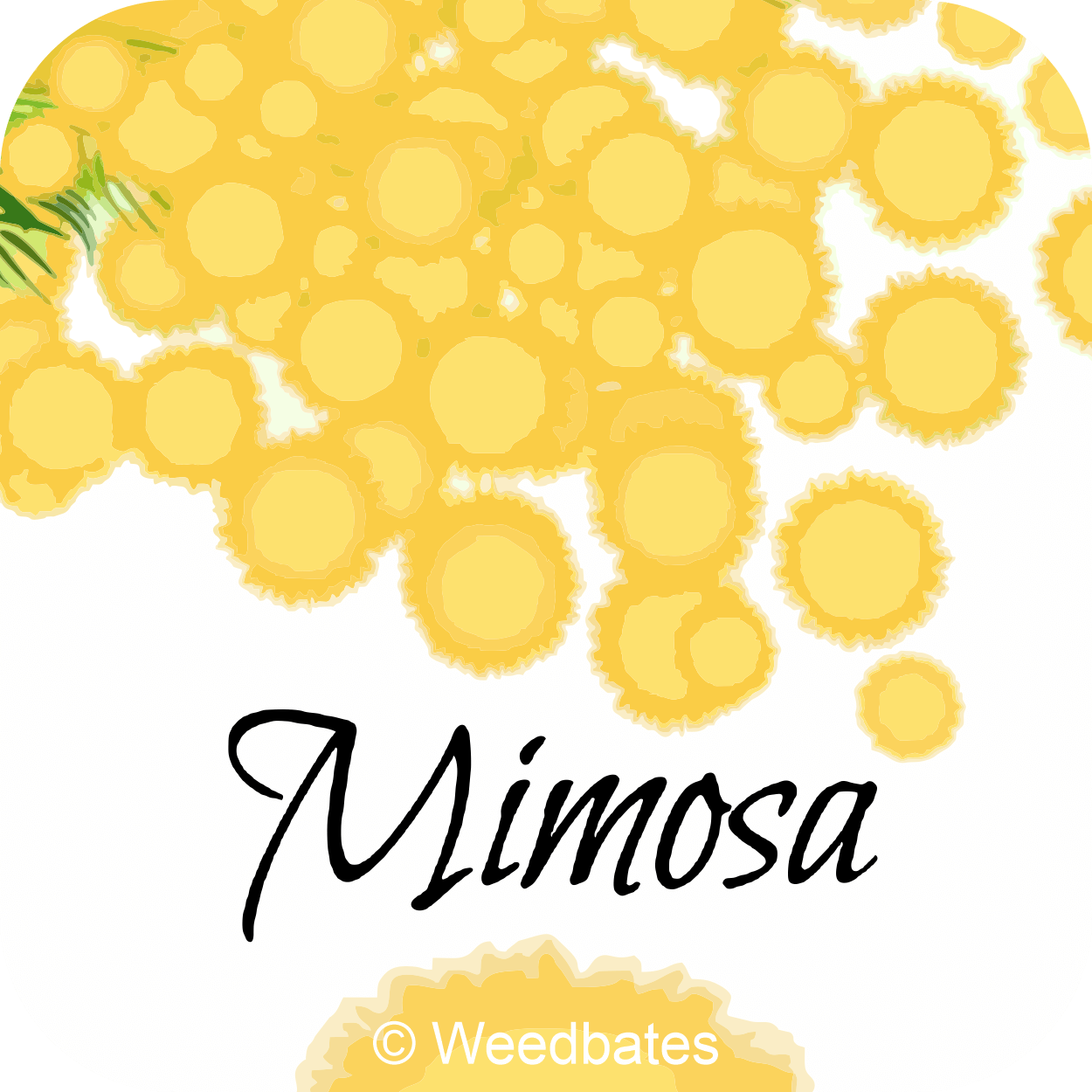 Mimosa Cannabis Strain