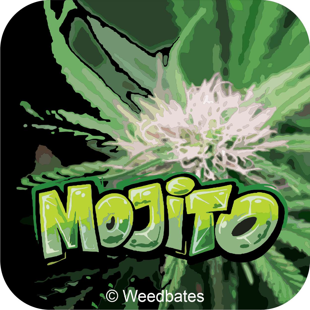 Mojito marijuana strain