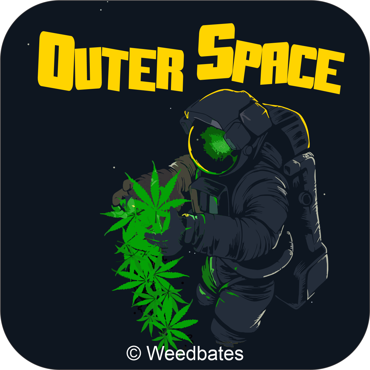 Outer Space marijuana strain 