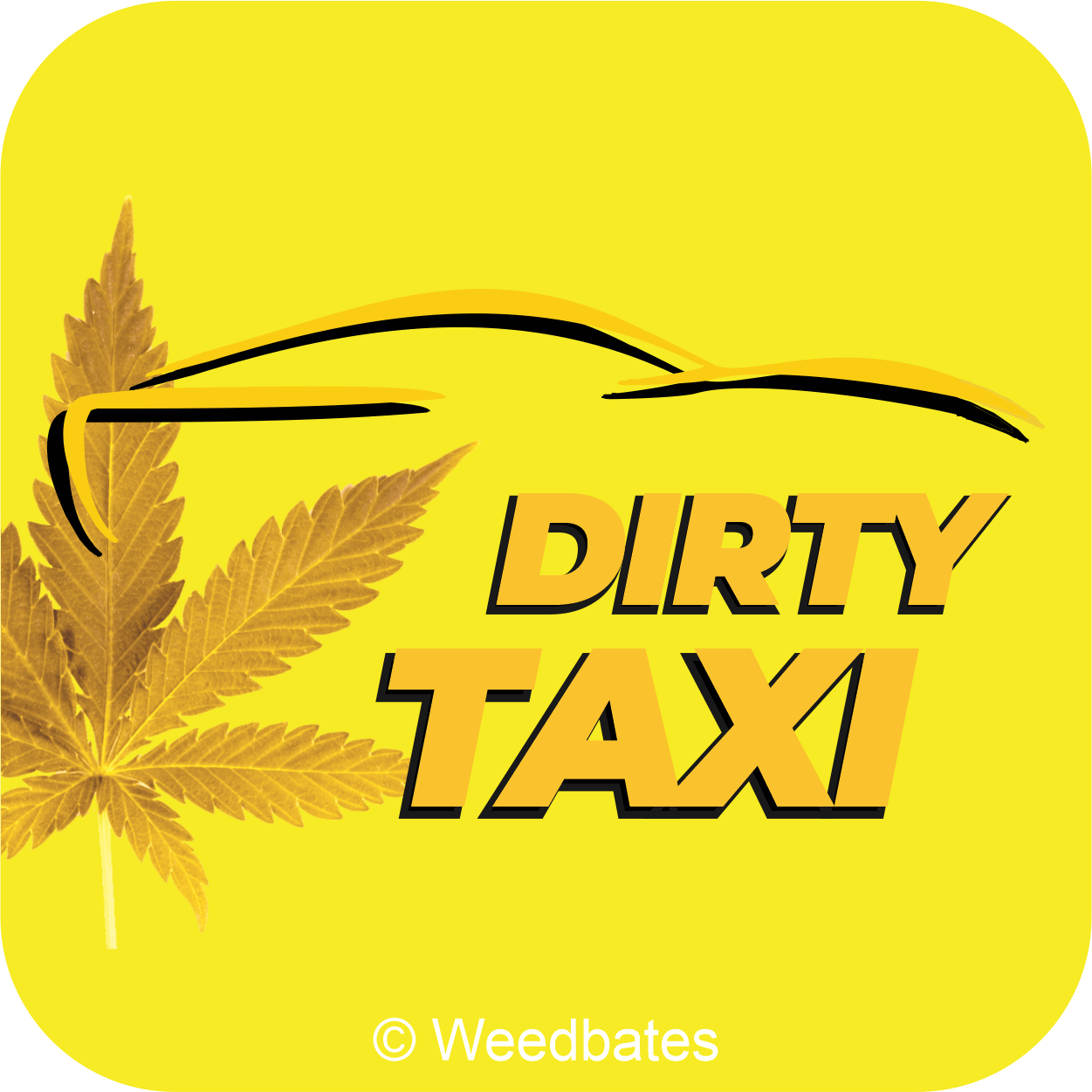 dirty taxi cannabis strain