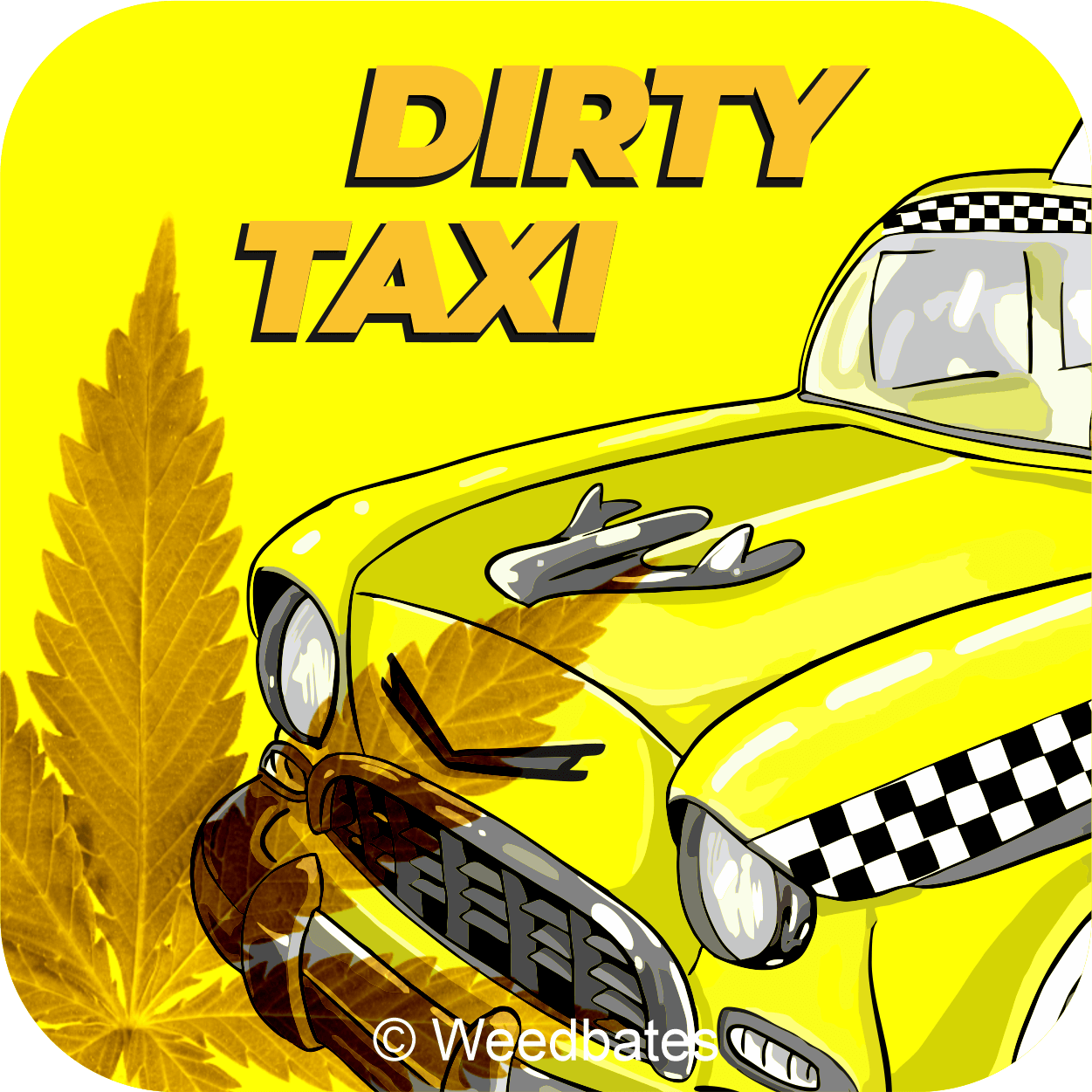 Dirty Taxi strain