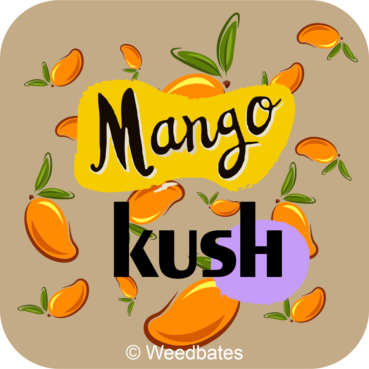Mango Kush cannabis strain