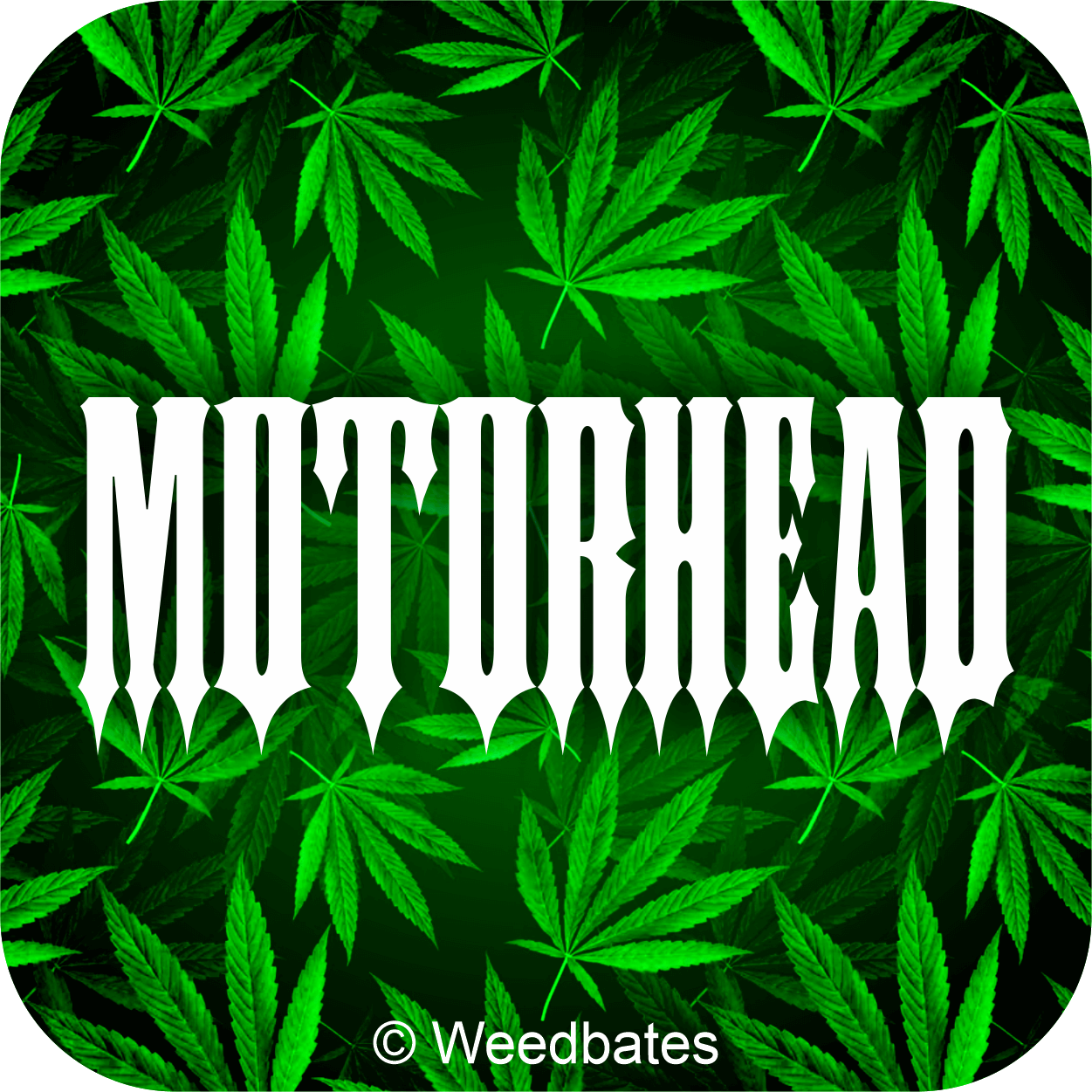 Motorhead Cannabis Strain